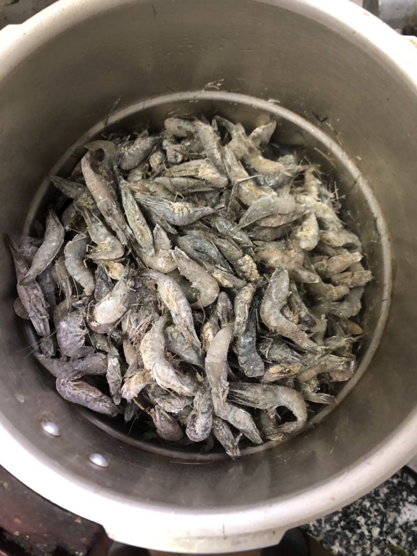 買了點河蝦做魚食