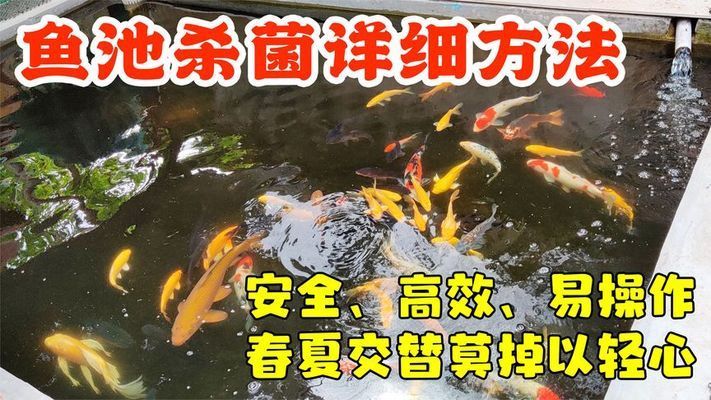 焦作魚池過濾濾材:焦作市東鼎商貿(mào)有限公司介紹 廣州水族器材濾材批發(fā)市場