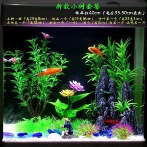 臨滄哪里有水族館（店）:云南有哪些之最 觀賞魚水族批發(fā)市場(chǎng)