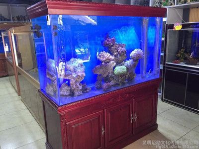 雙鴨山哪里有水族館（店）