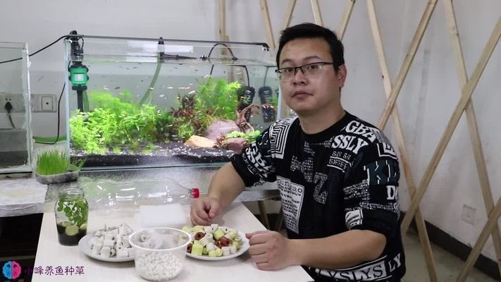 魚缸放在家里哪個位置風水最好 魚缸風水