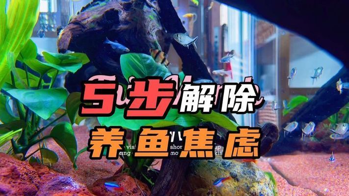 德宏傣族景頗族自治州魚池建設(shè):昆明有哪些景點(diǎn)推薦