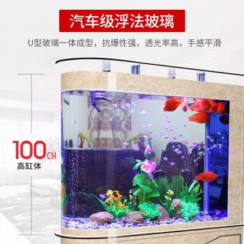 福龍魚品種稀有度查詢（如何判斷一個(gè)福龍魚品種是否稀有？） 水族問答