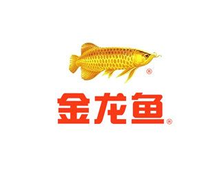 金龍魚的品牌介紹是什么（金龍魚是一個(gè)知名的食用品牌） 龍魚百科 第4張