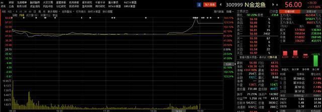 金龍魚營業(yè)收入多少億（金龍魚2023年及2024年上半年營業(yè)收入情況） 龍魚百科 第4張