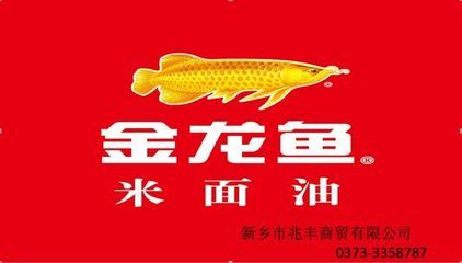 濟南金龍魚總代理電話地址（濟南金龍魚總代理的地址）