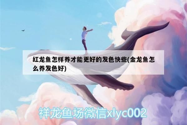 上海計罡景觀設(shè)計中心（上海計罡景觀設(shè)計中心91310120ma1jkpau2u） 廣州景觀設(shè)計