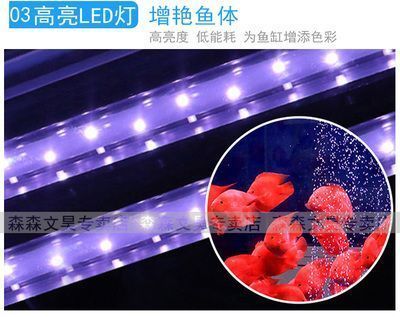 金龍魚4厘米魚苗價格（金龍魚4厘米魚苗價格受到多種因素影響價格受到多種因素影響） 龍魚百科 第3張