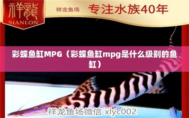 上海尚企景觀設計工程有限公司（上海尚企景觀設計工程有限公司詳細介紹） 廣州景觀設計