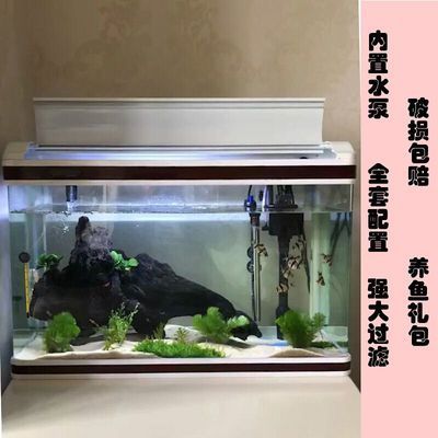 銀龍魚壽命:壽命長的小型魚