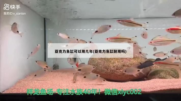 金龍魚(yú)哪里產(chǎn)的:金龍魚(yú)哪里有