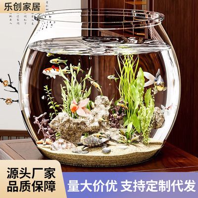 金龍魚只喂飼料可以嗎【龍魚喂金魚飼料可以嗎】 龍魚批發(fā)