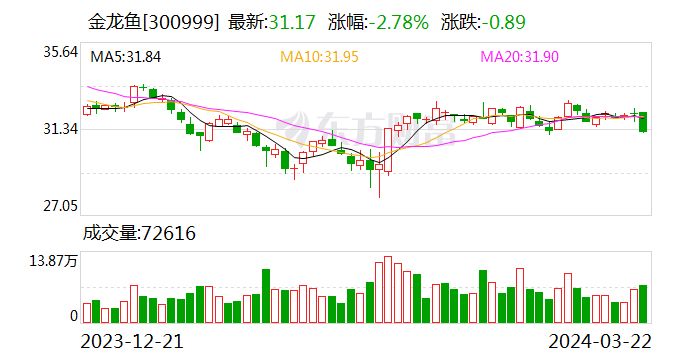 金龍魚 營收 2023（金龍魚2023年凈利潤增長原因） 龍魚百科 第5張