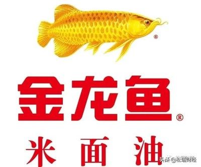 金龍魚2021年目標(biāo)價(jià)格表（關(guān)于金龍魚2021年目標(biāo)價(jià)格表） 龍魚百科 第5張