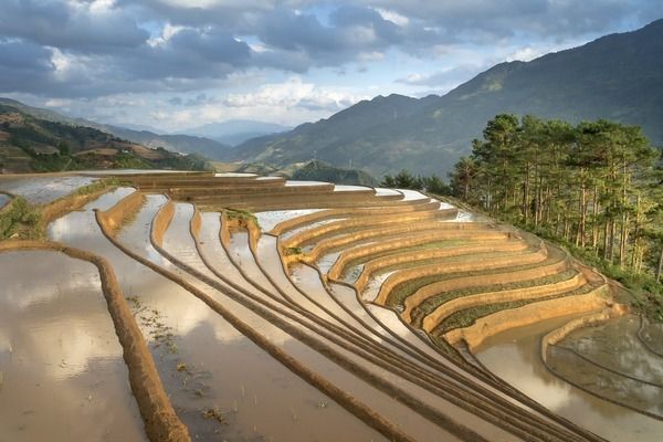 金龍龍魚白天需要開燈嗎為什么呢（金龍魚白天是否需要開燈？）