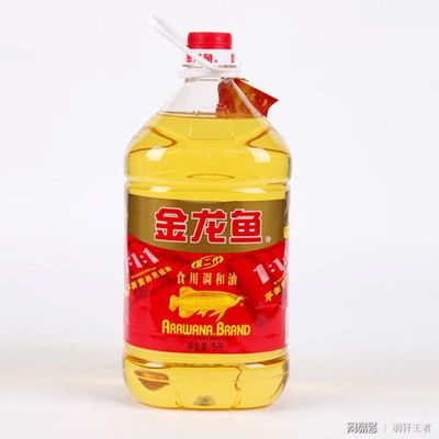 金龍魚的牌子有哪些名字呢（金龍魚旗下?lián)碛卸鄠€品牌具體如下：金龍魚品牌的歷史沿革） 龍魚百科 第4張