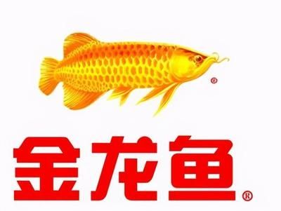 金龍魚的牌子有哪些名字呢（金龍魚旗下?lián)碛卸鄠€品牌具體如下：金龍魚品牌的歷史沿革） 龍魚百科 第5張