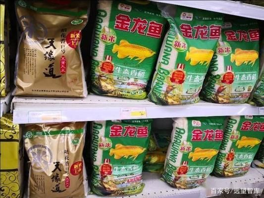 金龍魚的品牌介紹怎么寫的?。ń瘕堲~品牌歷史上的關(guān)鍵事件歷史上的關(guān)鍵事件）