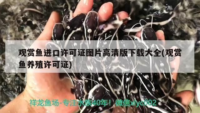 粗線魚和龍魚混養(yǎng)的水質(zhì)要求（粗線魚和龍魚混養(yǎng)的水質(zhì)要求是什么粗線魚和龍魚混養(yǎng)的水質(zhì)要求是什么） 水族問答