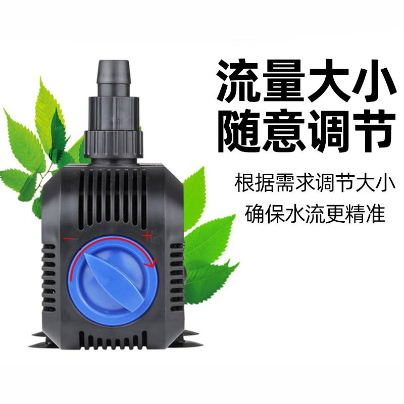 拉薩觀賞魚市場加氧氣頭擺放位置