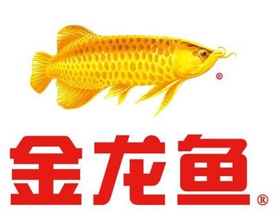 金龍魚logo（金龍魚logo是什么？） 龍魚百科 第2張