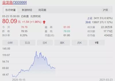 金龍魚股價(jià)最高是多少（金龍魚2024年12月12日股價(jià)最高36.51元） 龍魚百科 第1張