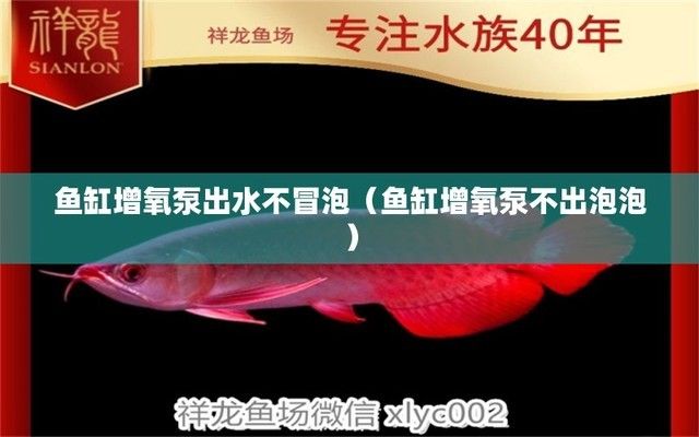 廣州水族批發(fā)市場(chǎng)祥龍魚(yú)場(chǎng)電話(廣州龍魚(yú)批發(fā)市場(chǎng)gg祥龍魚(yú)場(chǎng)) 龍魚(yú)批發(fā)