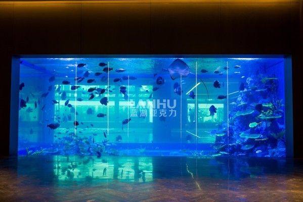 陽(yáng)江水族館:跳水選手 龍魚芯片掃碼器