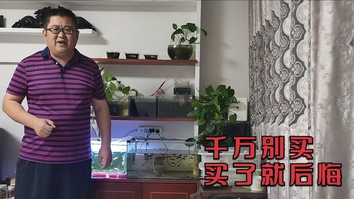 財(cái)神鸚鵡怎么養(yǎng)才紅 鸚鵡魚