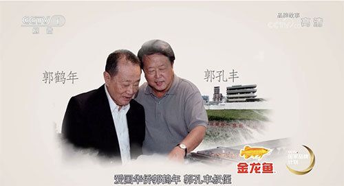 金龍魚的起源和歷史（金龍魚在自然界中是一種古老的魚類） 龍魚百科 第4張