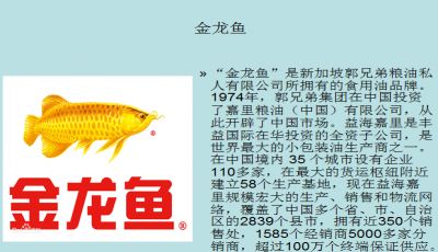 金龍魚營銷案例分析ppt（新加坡郭兄弟糧油私人有限公司金龍魚市場競爭激烈） 龍魚百科 第3張