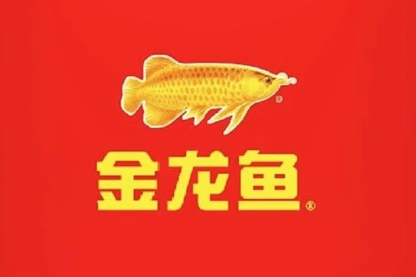 金龍魚 財報2023（金龍魚2023年利潤下滑原因） 龍魚百科 第3張