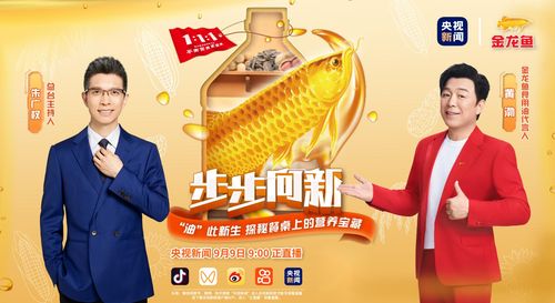 金龍魚形象代言人gv是干嘛的（金龍魚品牌推廣新策略）