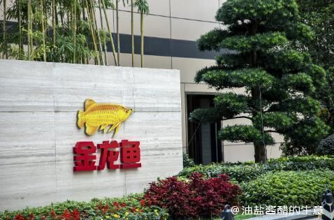 金龍魚2021二季度業(yè)績分析（金龍魚2021年二季度業(yè)績分析）