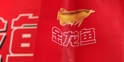 金龍魚價格策略（金龍魚價格調(diào)控機制） 龍魚百科 第2張