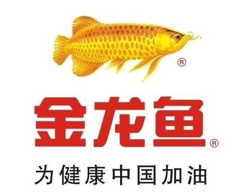 金龍魚iogo（金龍魚logo設(shè)計）