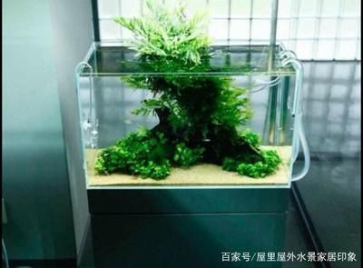 1.5米魚缸簡單造景（5米魚缸造景技巧魚缸造景水草養(yǎng)護要點適合5米魚缸的魚類推薦） 龍魚百科 第1張