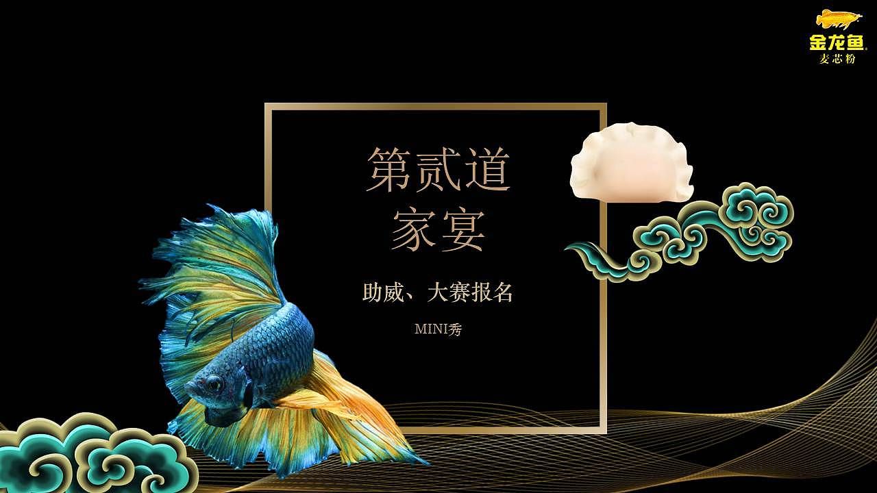 金龍魚策劃案（關(guān)于金龍魚策劃案的一些要點） 龍魚百科 第4張