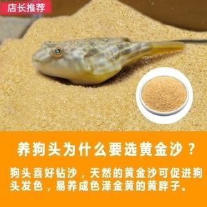 海豚魚缸（海豚魚缸是什么牌子）