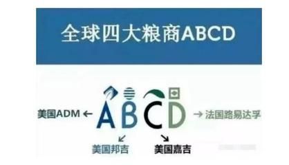 金龍魚 abcd是什么意思啊（金龍魚是abcd四大跨國糧商之一的豐益國際集團(tuán)子公司） 龍魚百科 第1張