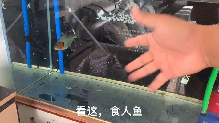 魚(yú)缸需要一直換水嗎為什么（如何判斷魚(yú)缸水質(zhì)是否良好） 龍魚(yú)百科 第1張