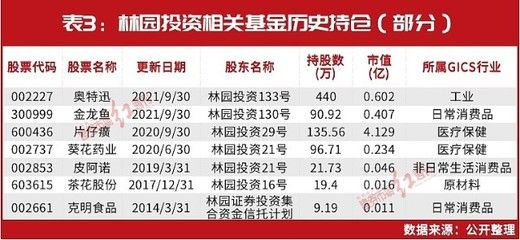 金龍魚2021年投資（金龍魚2021年投資情況分析）