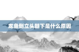 龍魚頭朝上尾朝下一直動怎么回事（龍魚頭朝上尾朝下一直動可能是健康狀態(tài)的一種反應(yīng)）