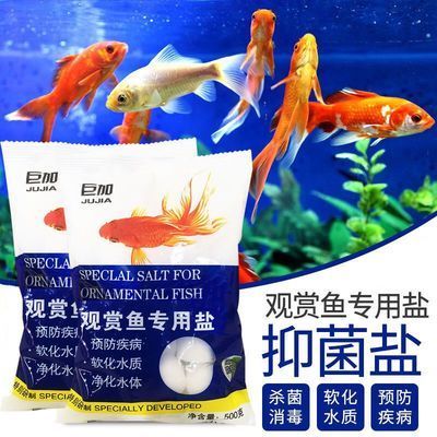 魚缸多久放一次鹽合適（淡水魚缸加鹽的最佳時機海水魚缸鹽度控制技巧） 龍魚百科 第3張