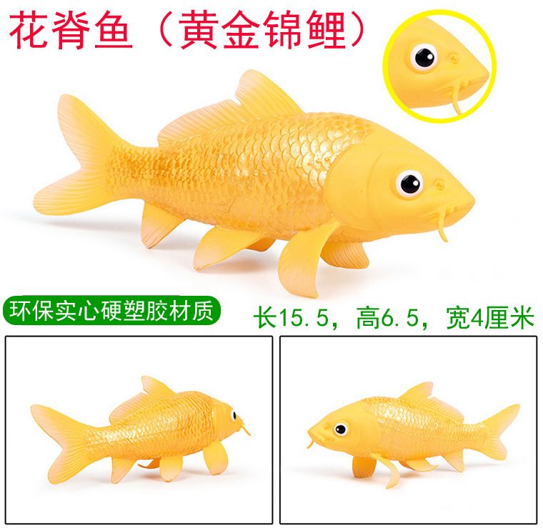 恐龍魚(yú)vs食人魚(yú)（恐龍魚(yú)與食人魚(yú)的生態(tài)位差異,恐龍魚(yú)的觀賞價(jià)值探究） 龍魚(yú)百科 第4張