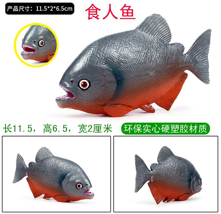 恐龍魚(yú)vs食人魚(yú)（恐龍魚(yú)與食人魚(yú)的生態(tài)位差異,恐龍魚(yú)的觀賞價(jià)值探究） 龍魚(yú)百科 第5張