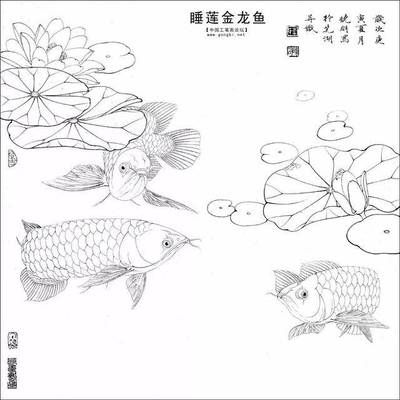 龍魚(yú)畫畫（龍魚(yú)簡(jiǎn)筆畫教程） 龍魚(yú)百科 第2張