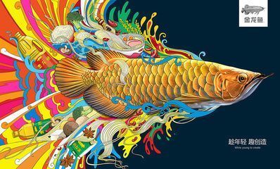 金龍魚掛畫怎么掛（金龍魚掛畫的風水禁忌） 龍魚百科 第2張