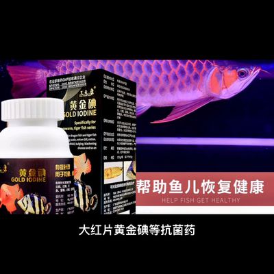 龍魚抗菌藥有哪些（如何判斷龍魚是否感染，龍魚抗菌藥使用指南）