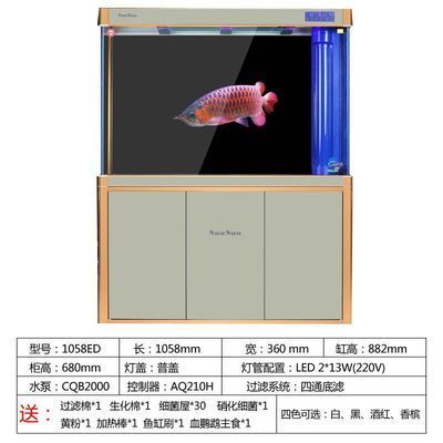 最小型的龍魚叫什么名字（最小型的龍魚是什么？） 龍魚百科 第2張